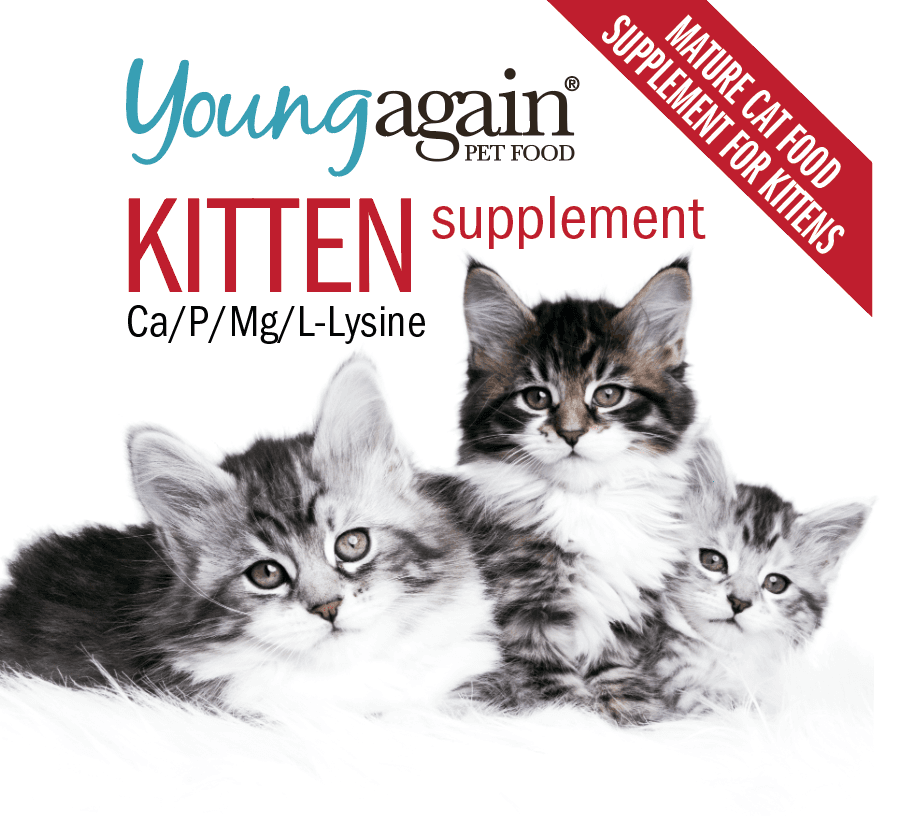Young Again Zero Mature Health Cat Food – Can & Clover